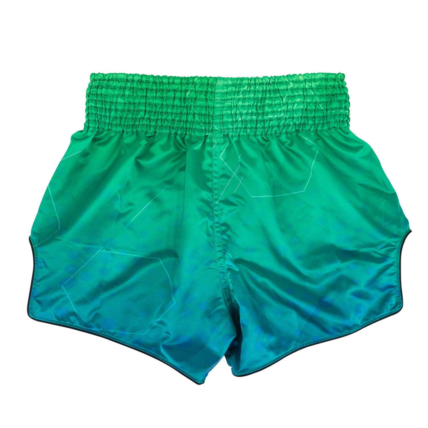 Fairtex Quantum Muay Thai Shorts (BS1953)