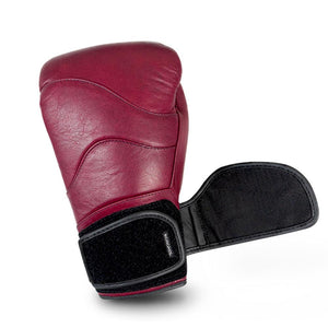 Mongkol Muay Thai Gloves - Premium (BGM04) - Muay Thailand