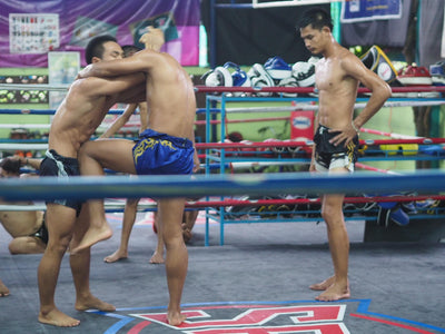 5 Examples Of Purposeful Practice In Muay Thai